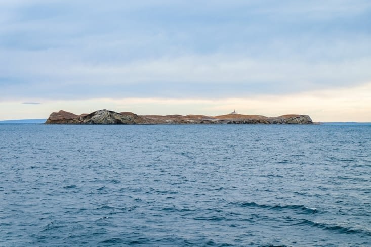 Île Magdalena, l'île aux manchots de Magellan