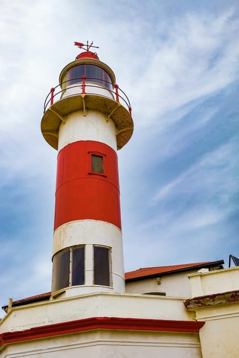 Île Magdalena, l'île aux manchots de Magellan