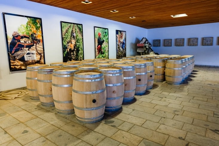 La route des vins - Viña Casa Lapostolle