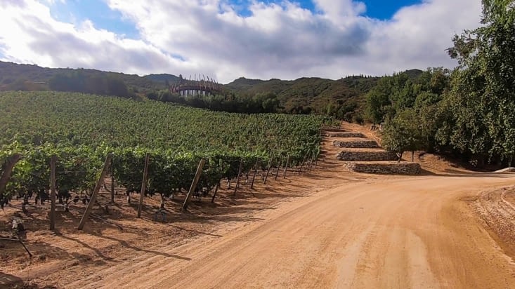 La route des vins - Viña Casa Lapostolle