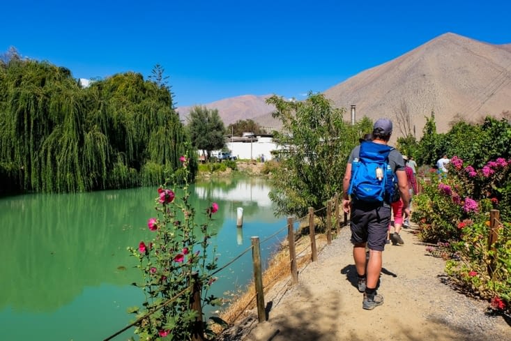 Vallée de l'Elqui - Visite d'une fabrique de Pisco
