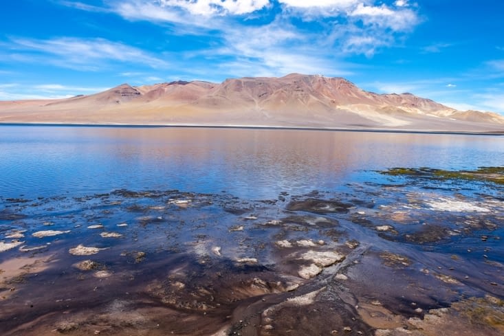 La route des salars - Laguna Negra du Salar Aguas Calientes