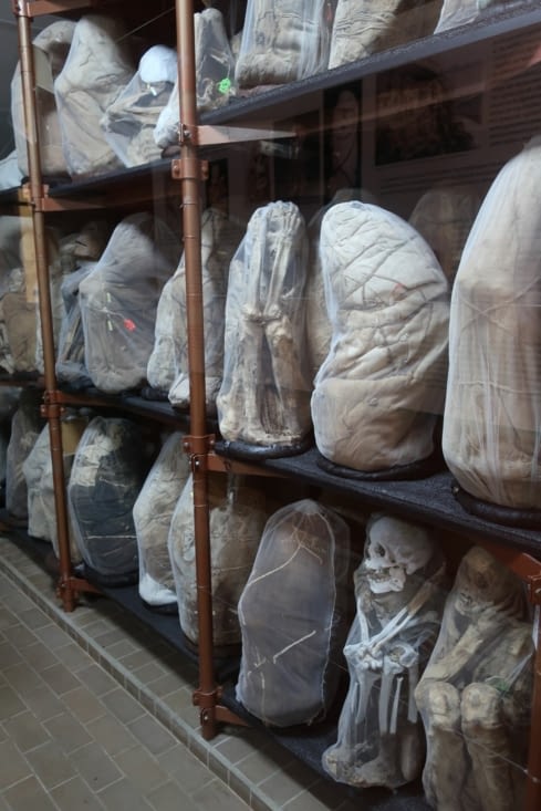 Salle de conservation des momies