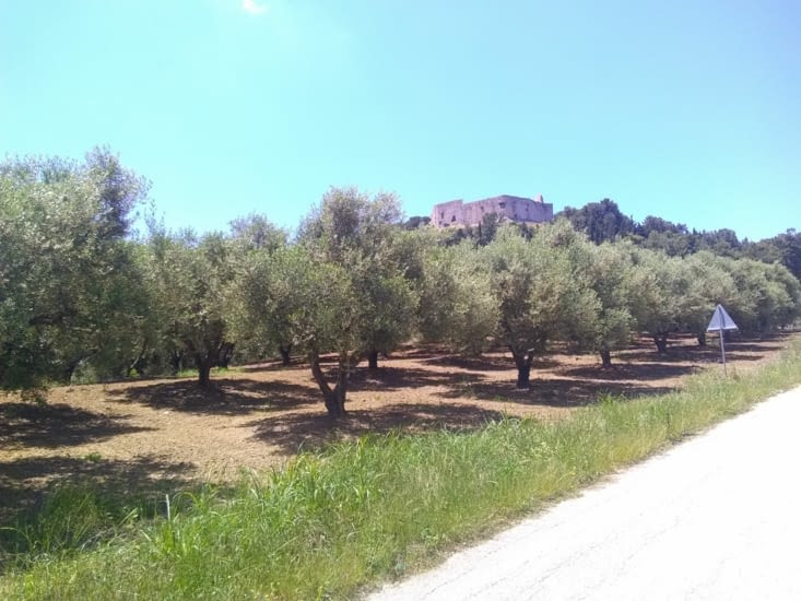 La forteresse de Hlemutsi dominant les oliveraies