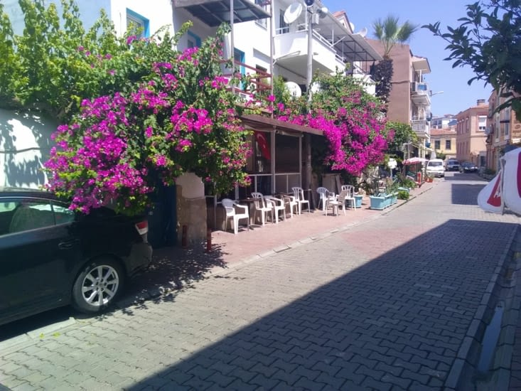 Bougainvillées à Cesme
