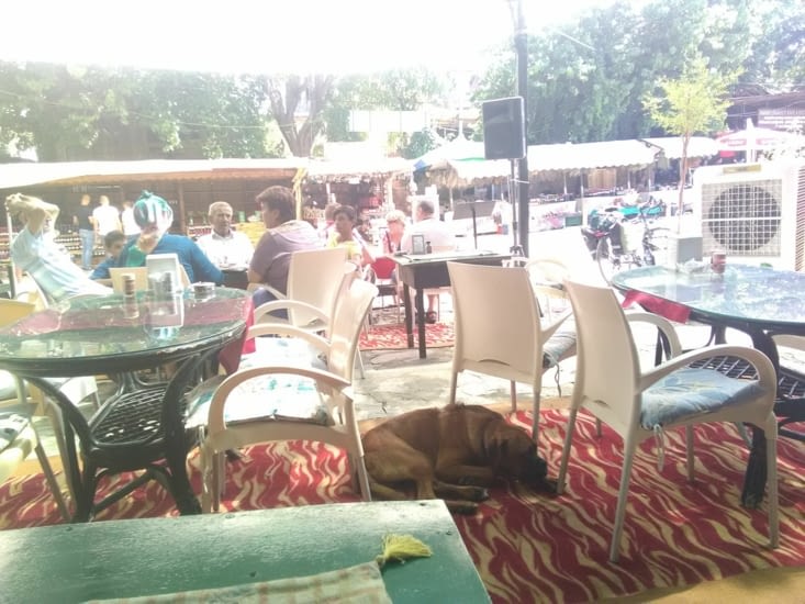 Le bar de Sirince avec les 2 Bob qui m'accompagnent