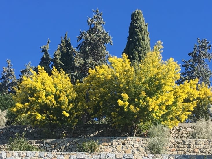 Et en plus ça sent bon !