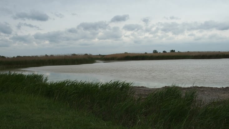 Des images camarguaise.