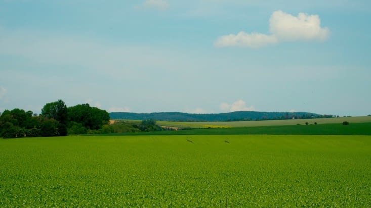 Une multitude de verts, s'étale dans la campagne.