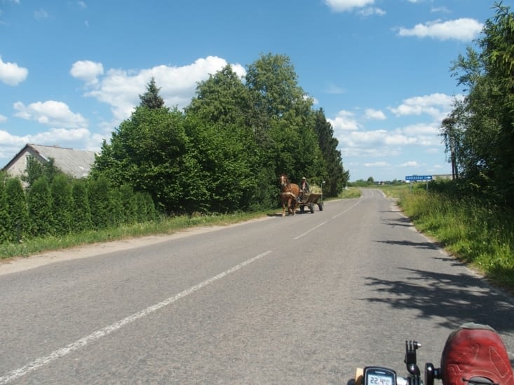 Le cheval m'a regardé passer l'air étonné