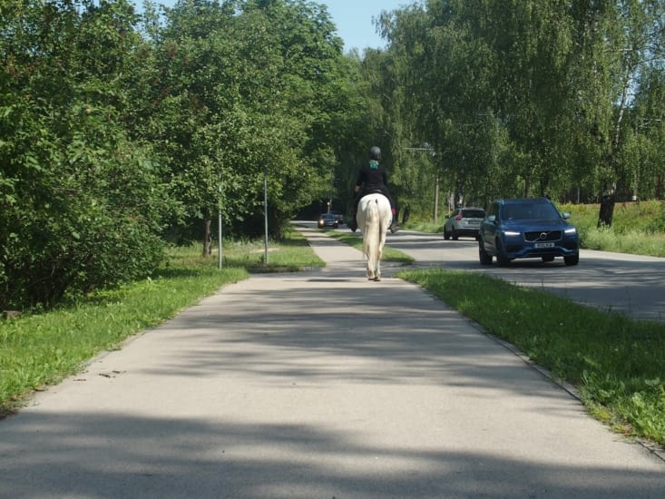 Il y a même un cheval.