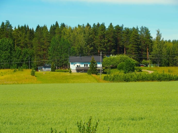 La forêt est présente partout