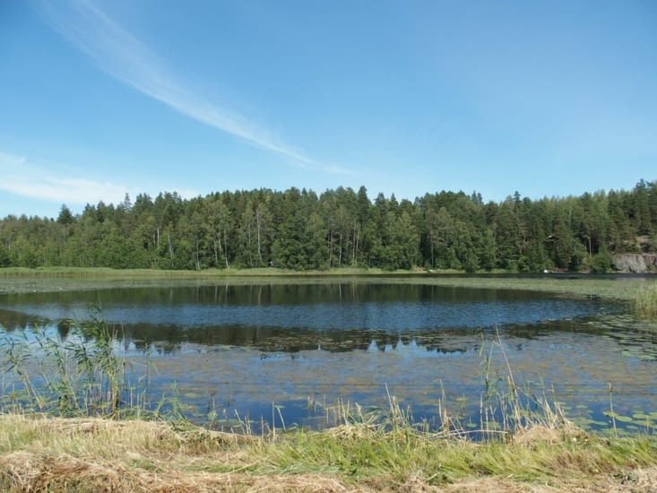 Les forêts se reflètent dans l'eau des lacs