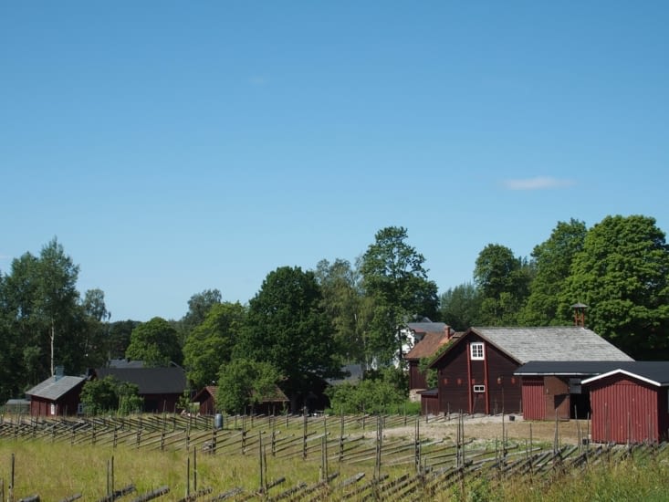 Les maisons sont couleur bordeaux,.