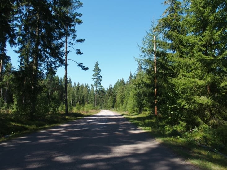 Les routes traversent les forêts dans de longues lignes droites