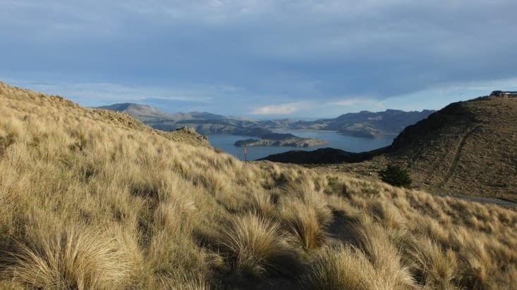 Lyttelton