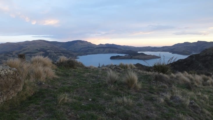 Lyttelton
