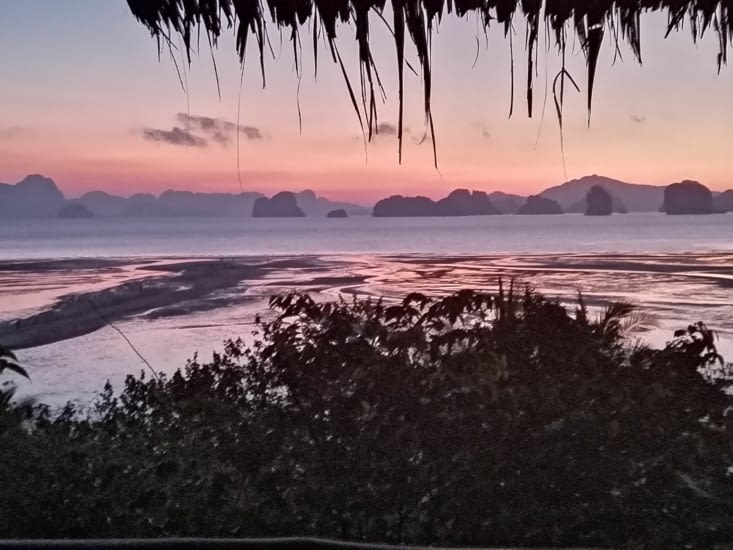 Le réveil des îlots.