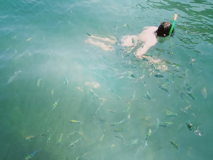 Vingt centimètres sous la mer.