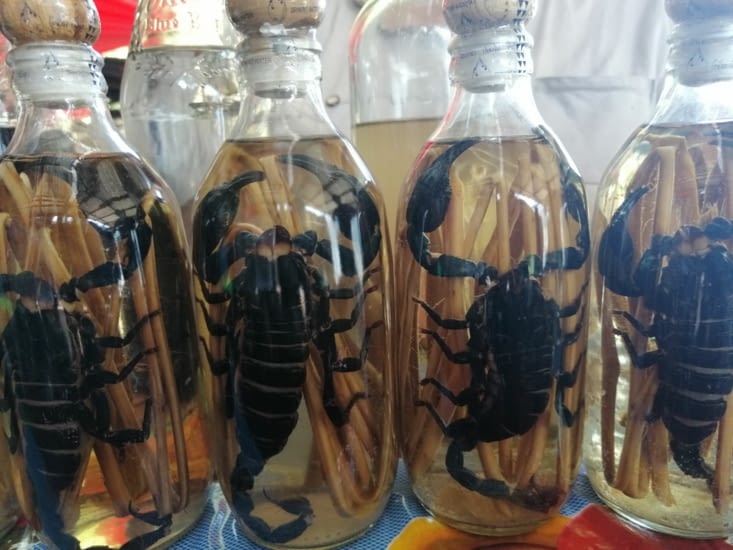 Whisky de riz et de scorpions dans un Lao Lao village.
