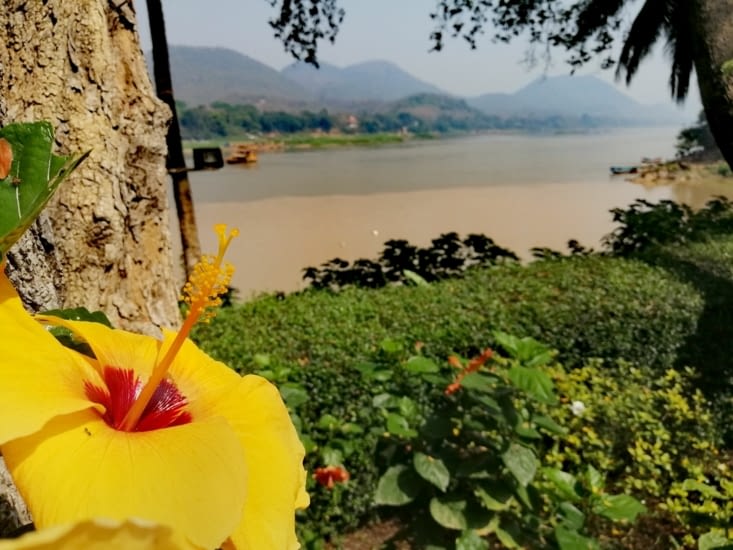 Vue sur le Mekong.