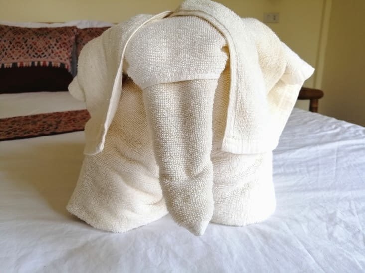 Des serviettes joliment pliées !