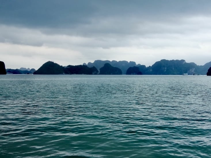 Au petit matin, avant la leçon de taïchi.