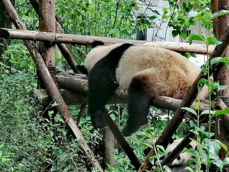 Lendemain de soirée.