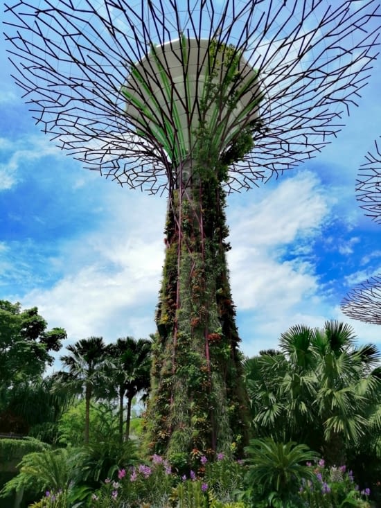 A l'assaut des cimes.