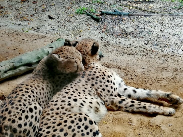 Attends, je t'enlève une tâche.