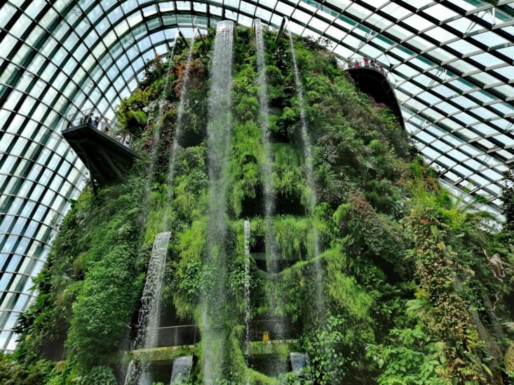Cascade de la serre cloud forest.