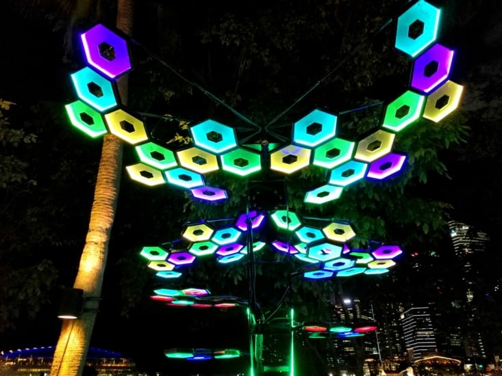 Papillon de lumière.