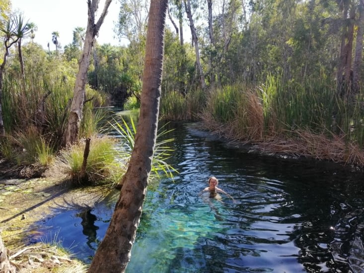 Le paradis à Bitter springs Mataranka!