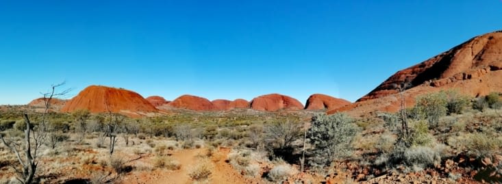 Des soufflets à croquer.