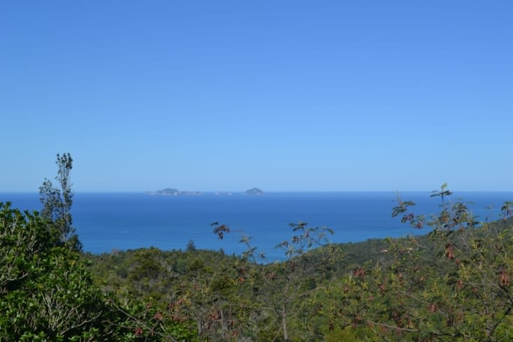 Sur la route pour la péninsule de Coromandel