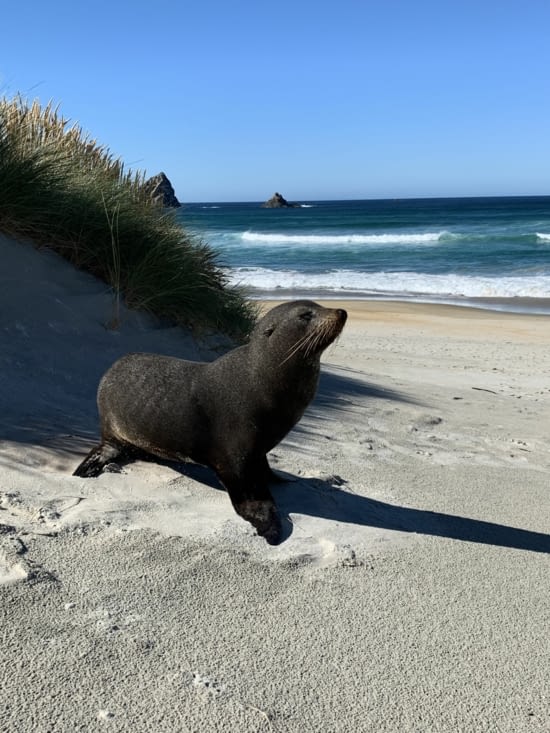 Prêt à prendre la pause