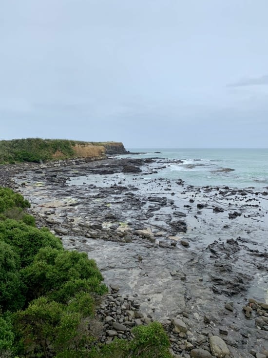 Magnifique cote sauvage