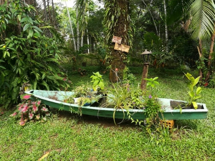 Bac à fleur ambiance jungle de l'hostel