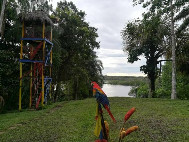 Le mirado et Coco la mascote de l'hostel