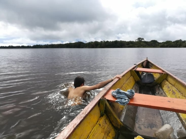 Petite baignade avec les dauphins roses