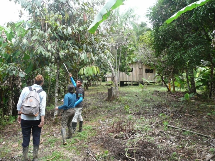 Randonné par temps humide