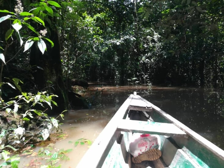 Ambiance pêche en Amazonie