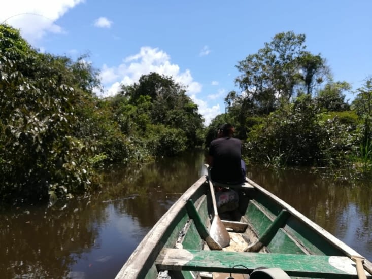 Arrivée en canoé dans un labyrinthe de jungle