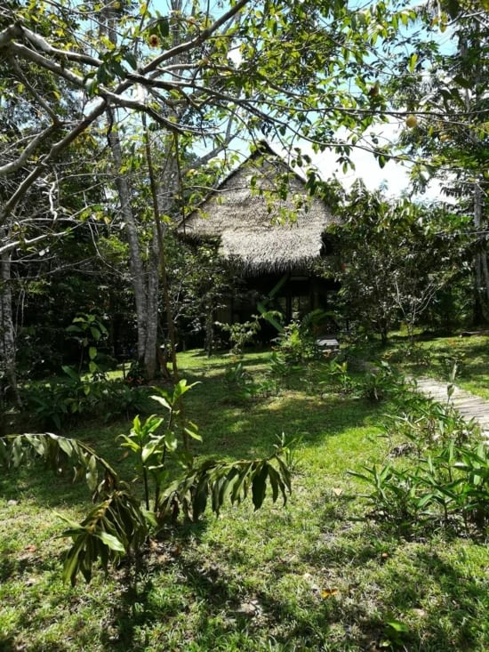 Notre nouveau lieu de vie, la cabane au fond du jardin...