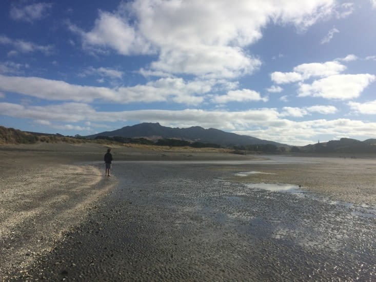 Le chemin camping-ville