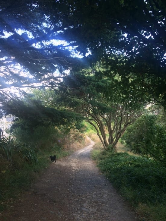 Le chemin dans la colline