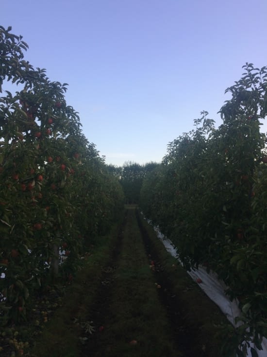 La machine passe par la, on pique de tous les côtés