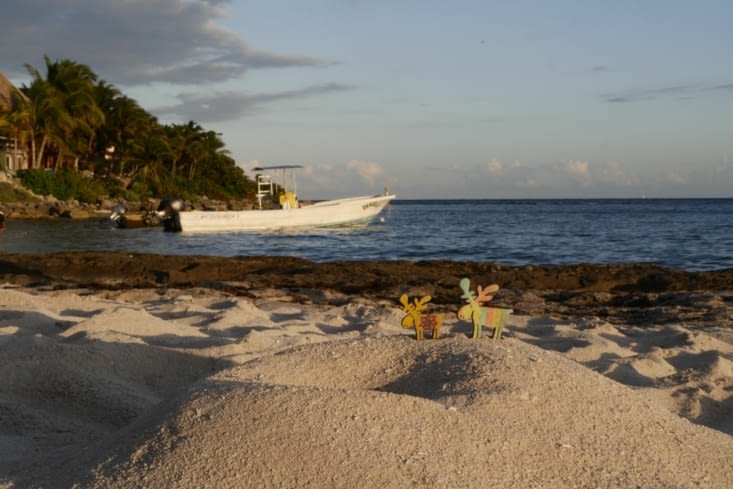 Bye le Mexique / Goodbye Mexico