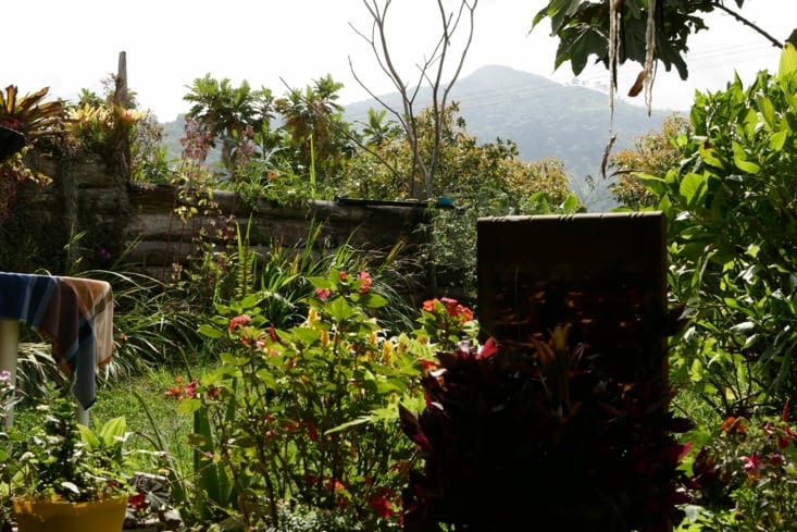 Le jardin / The garden