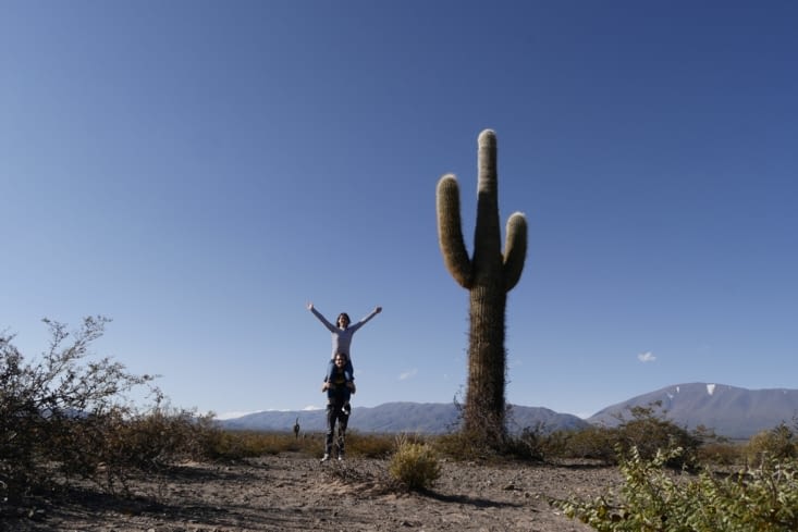 Cactus géant / Giant cactus